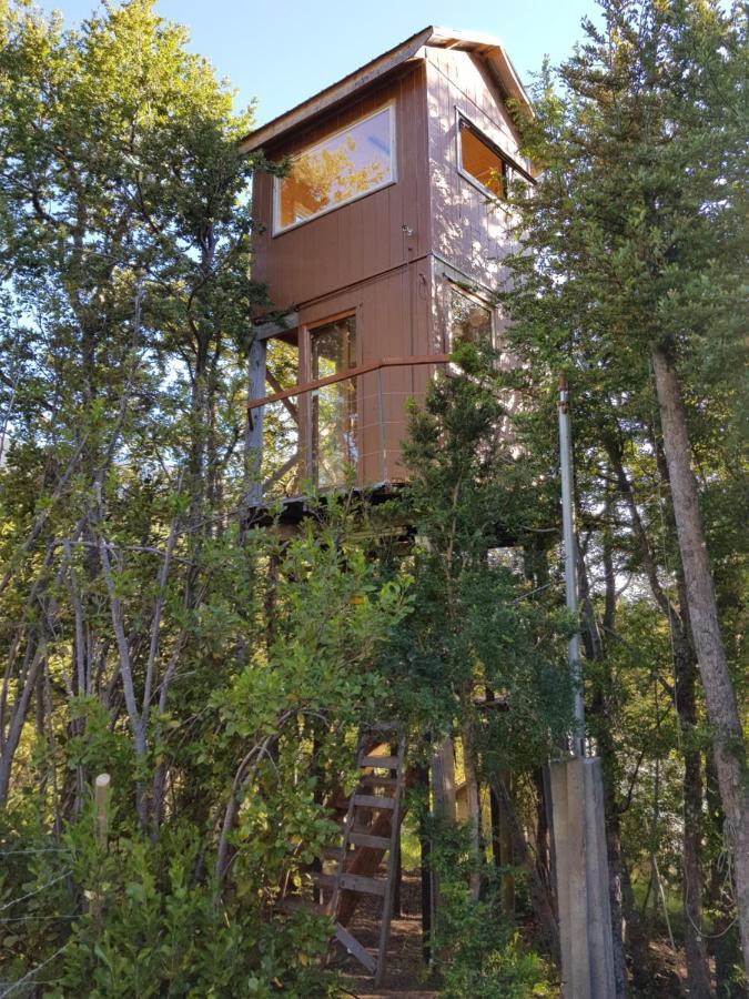 Casa Arbol Conguillio National Park *