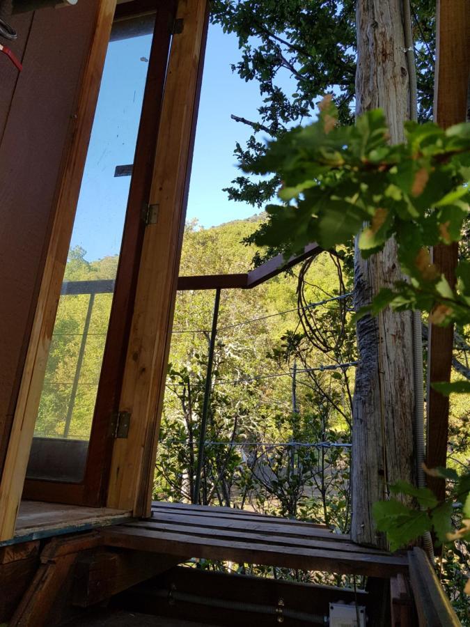 Apartamento Casa Arbol Conguillio National Park *