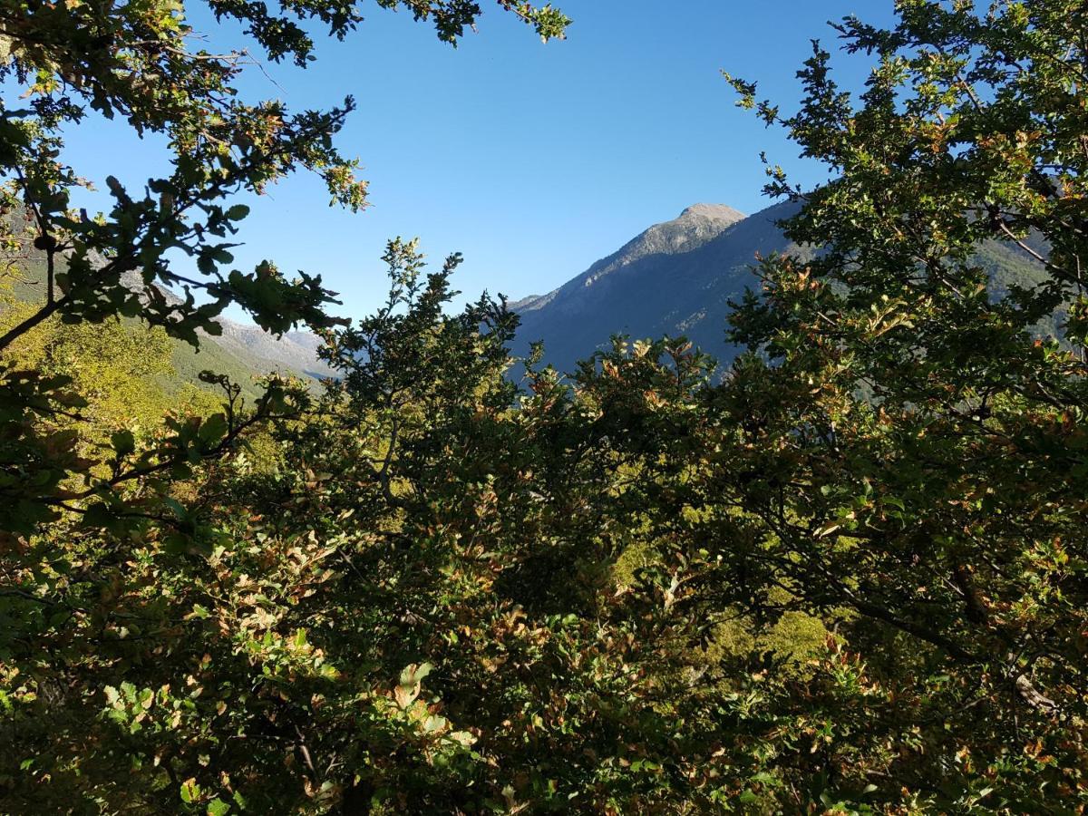 Apartamento Casa Arbol Conguillio National Park Melipeuco
