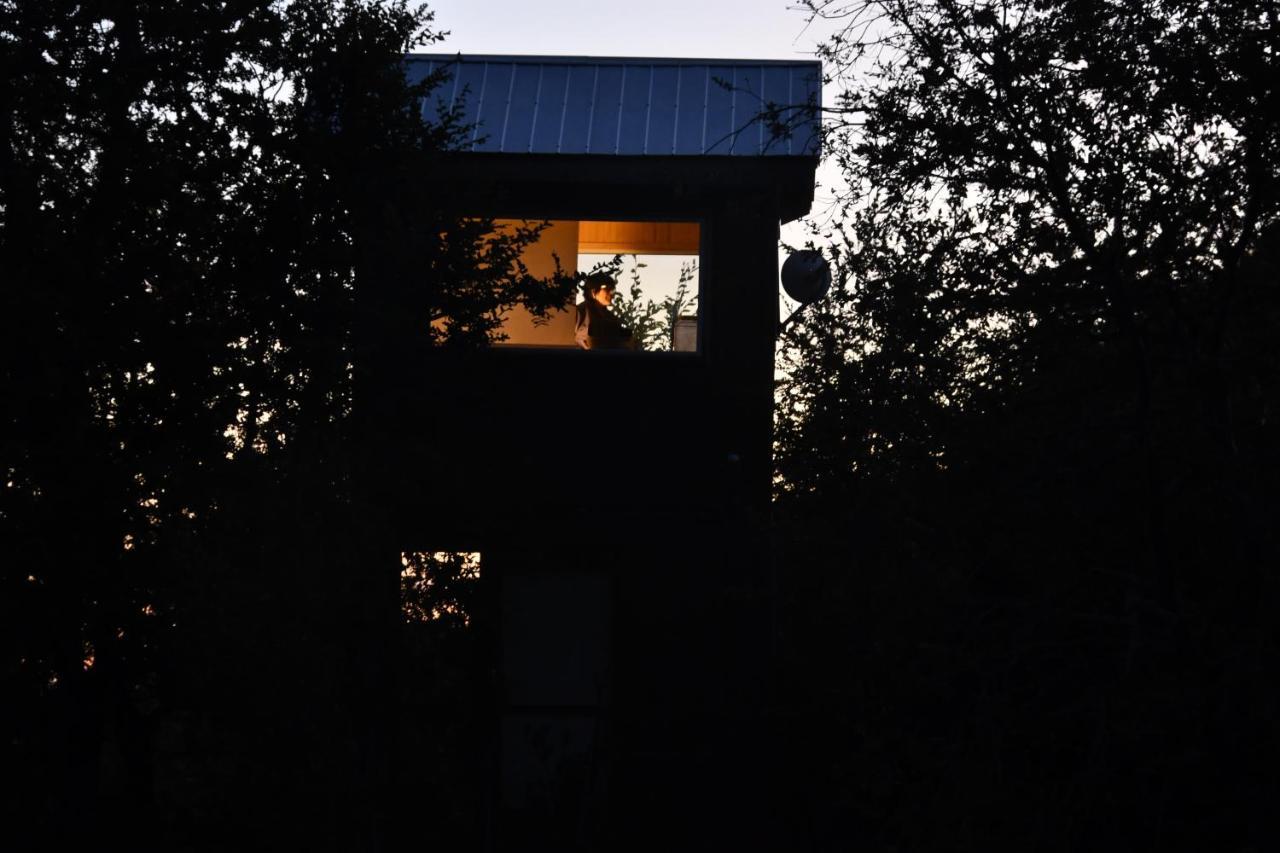 Casa Arbol Conguillio National Park Melipeuco