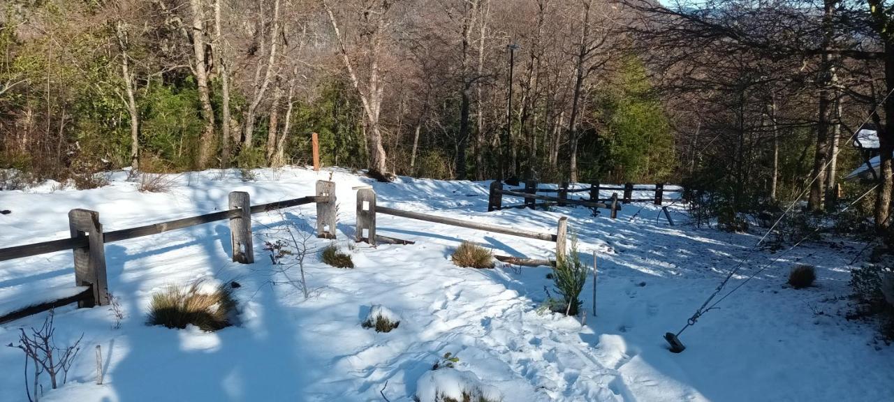 Casa Arbol Conguillio National Park